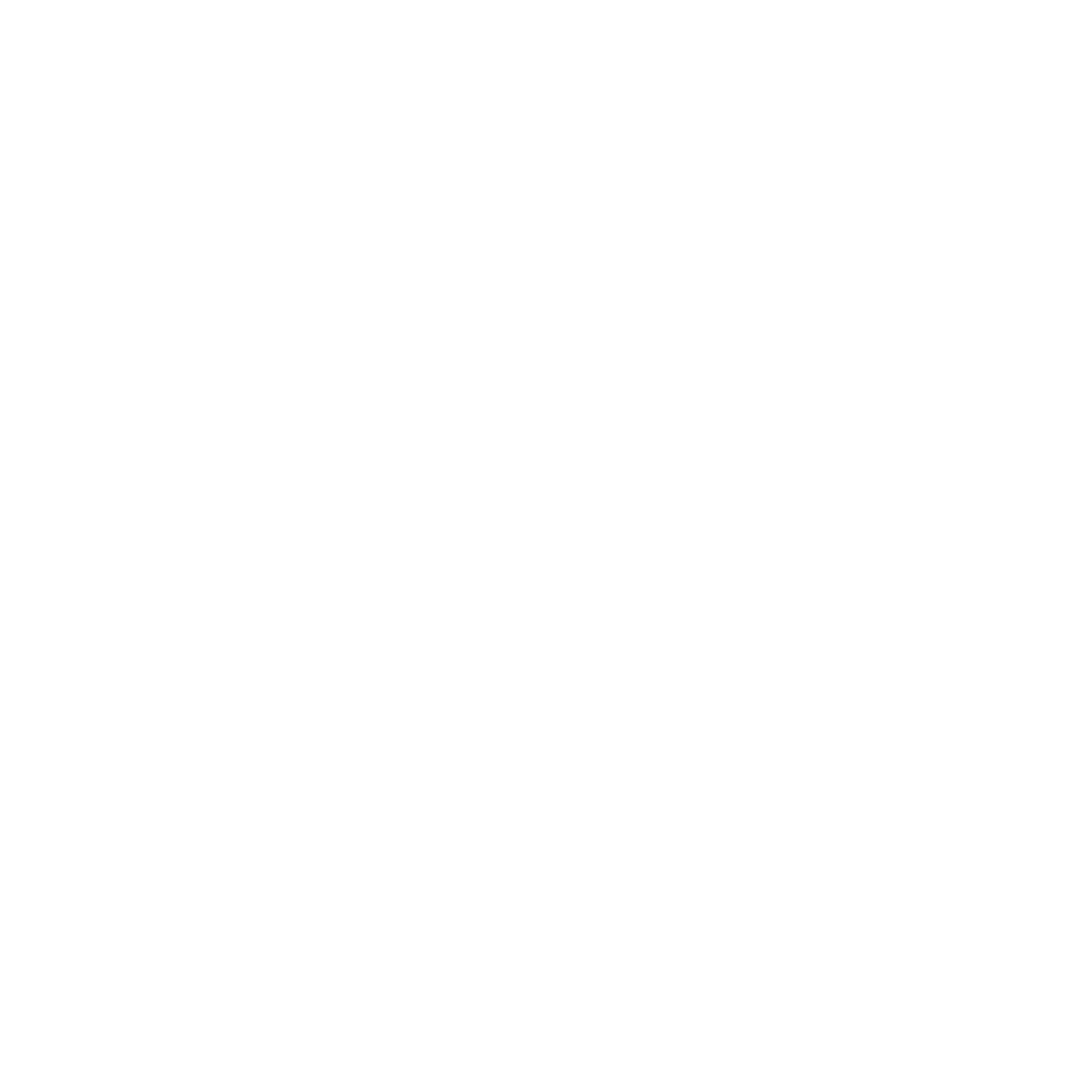 MOVIL PHONE